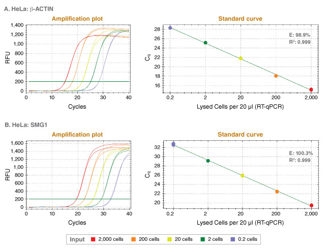 Luna® Cell Ready 一步法 RT-qPCR 试剂盒 |