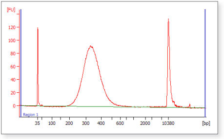 Next&reg; DNA 快速片段化 & 文库制备试剂盒-Ion Torrent® |
