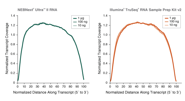 Next Ultra II RNA 非链特异性文库制备试剂盒 |