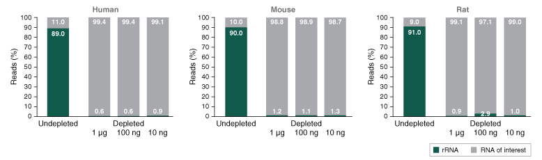 Next® rRNA Depletion Kit v2 (Human/Mouse/Rat) |