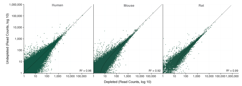 Next® rRNA Depletion Kit v2 (Human/Mouse/Rat) |