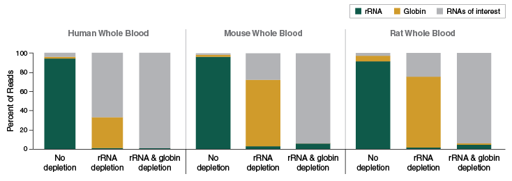 Next® Globin & rRNA Depletion Kit (Human/Mouse/Rat) |