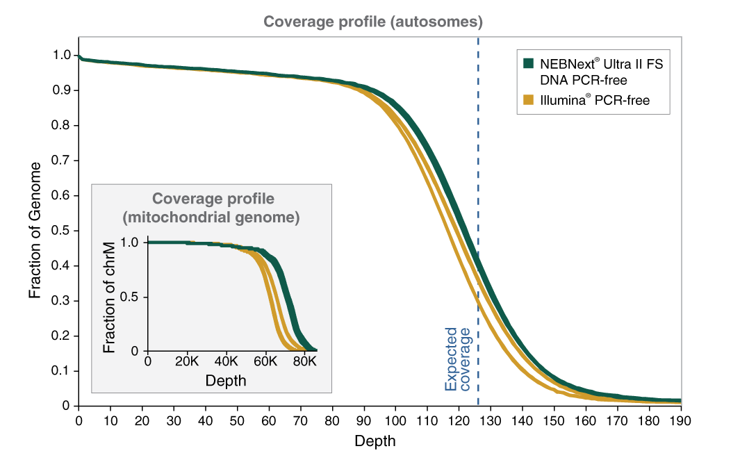 Next® Ultra™ II FS DNA PCR-free 文库制备试剂盒 |