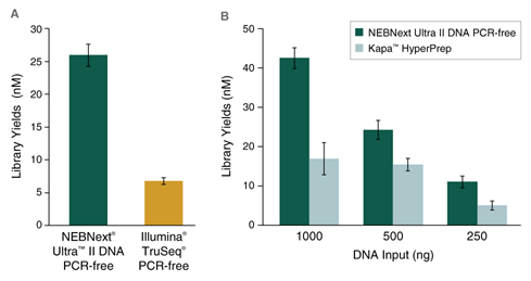 Next® Ultra™ II DNA PCR-free 文库制备试剂盒（含纯化磁珠） |