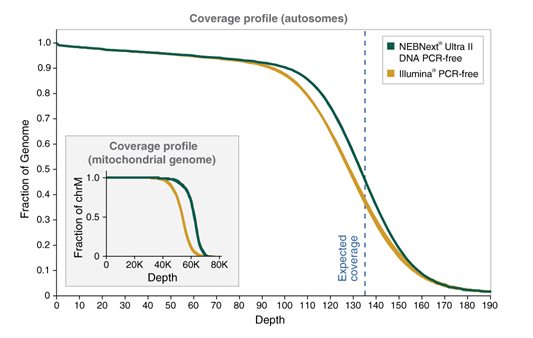 Next® Ultra™ II DNA PCR-free 文库制备试剂盒(含纯化磁珠) |