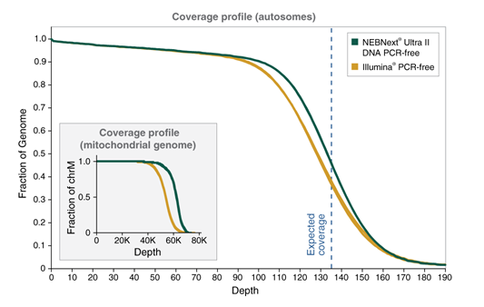 Next® Ultra™ II DNA PCR-free 文库制备试剂盒（含纯化磁珠） |