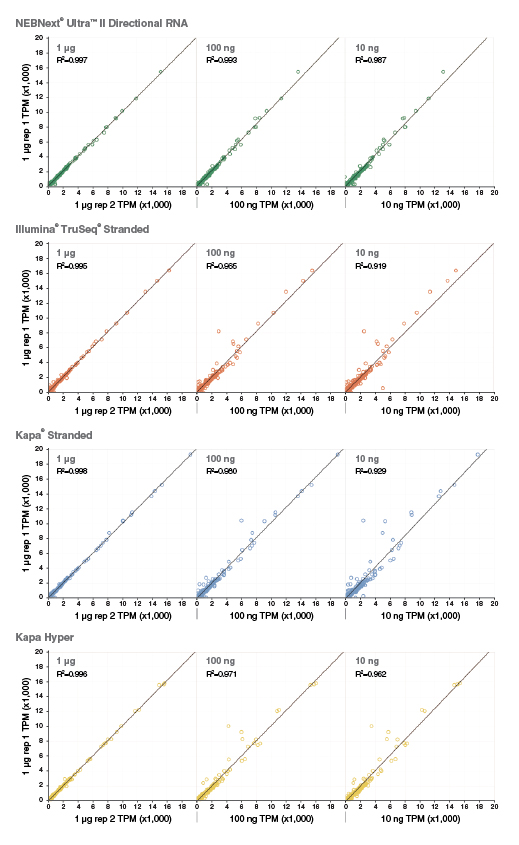 Next Ultra II Directional RNA Library Prep with Sample Purification Beads |