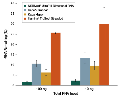 Next Ultra II Directional RNA Library Prep with Sample Purification Beads |