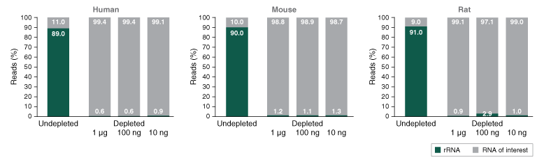 Next® rRNA Depletion Kit v2 (Human/Mouse/Rat) with RNA Sample Purification Beads |