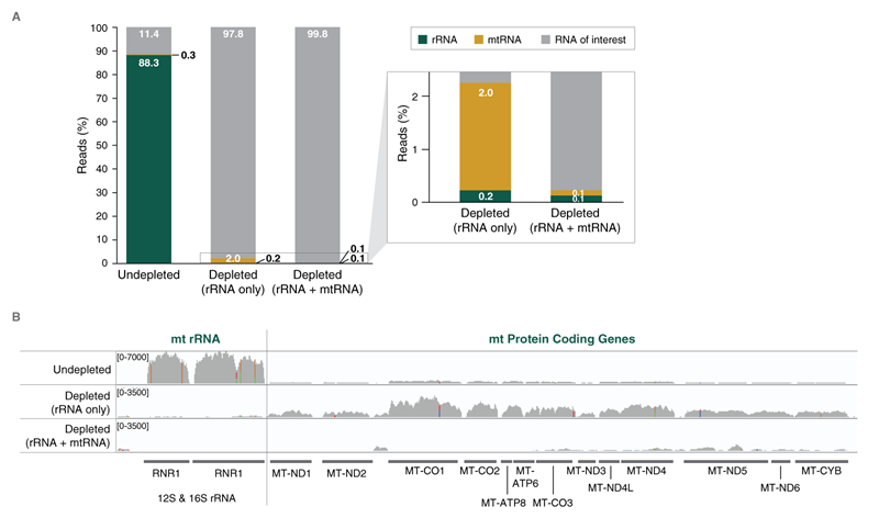 Next® RNA Depletion Core Reagent Set |