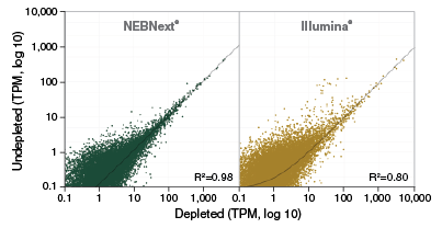 Next® Globin & rRNA Depletion Kit (Human/Mouse/Rat) with RNA Sample Purification Beads |