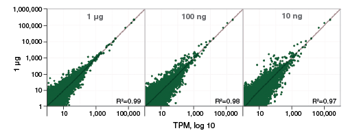 Next® Globin & rRNA Depletion Kit (Human/Mouse/Rat) with RNA Sample Purification Beads |