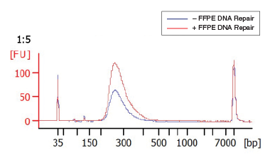 Next® FFPE DNA 修复混合液 |