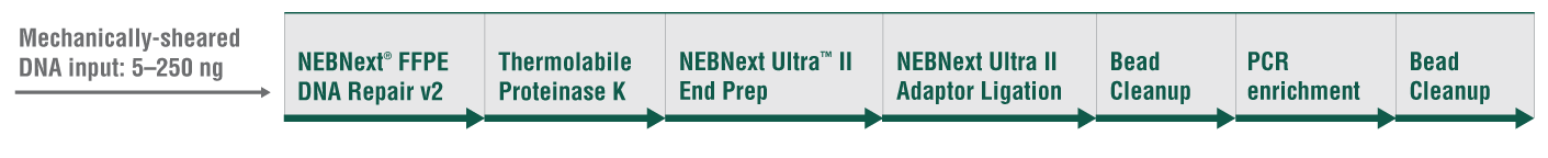 Next® FFPE DNA Library Prep Kit |