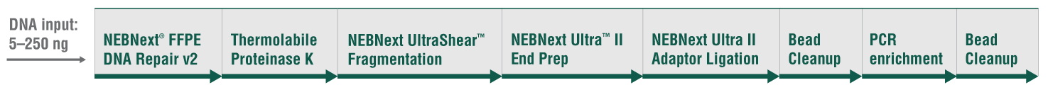 Next Ultrashear® FFPE DNA Library Prep Kit |