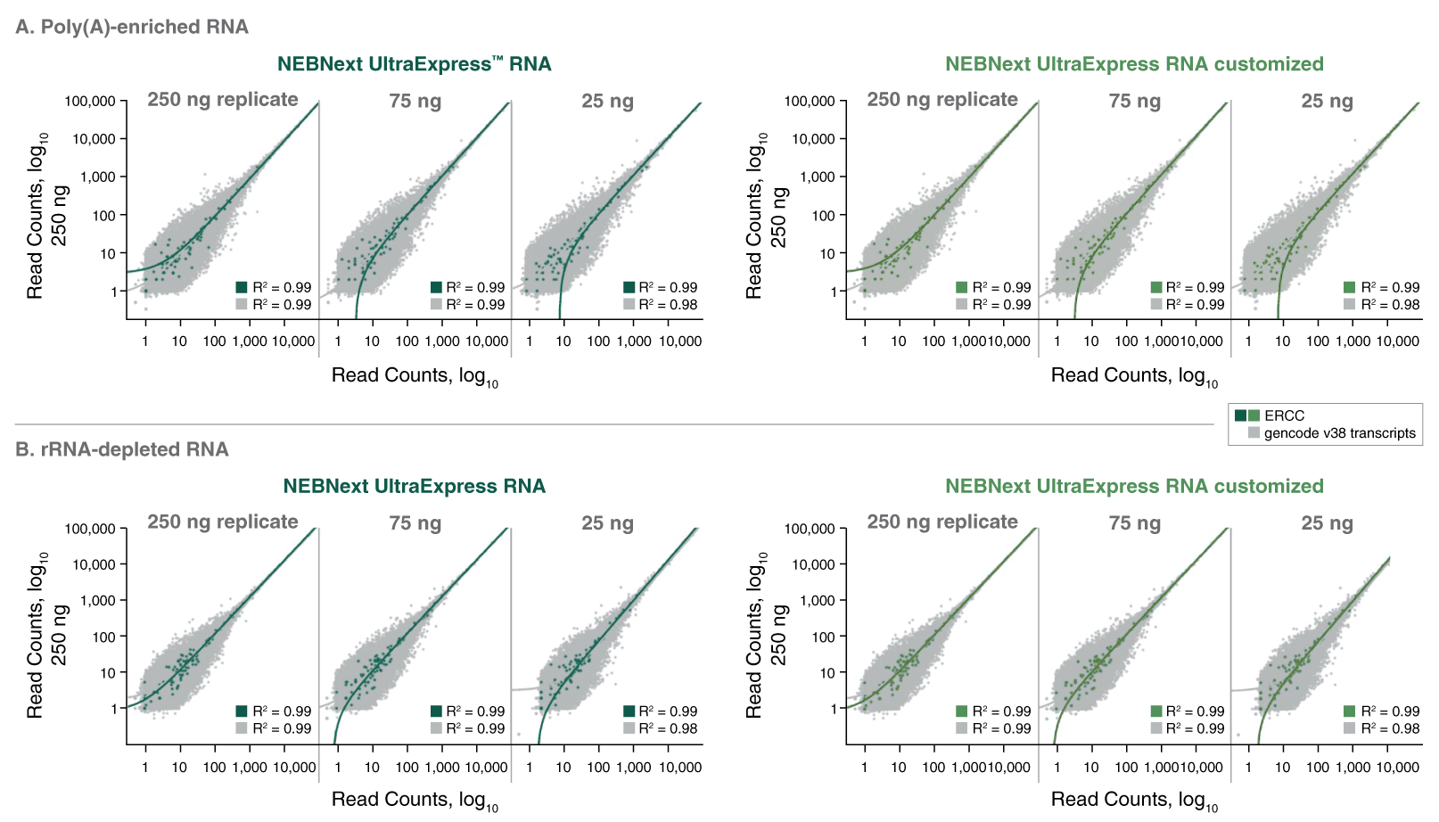 Next UltraExpress™ RNA Library Prep Kit |