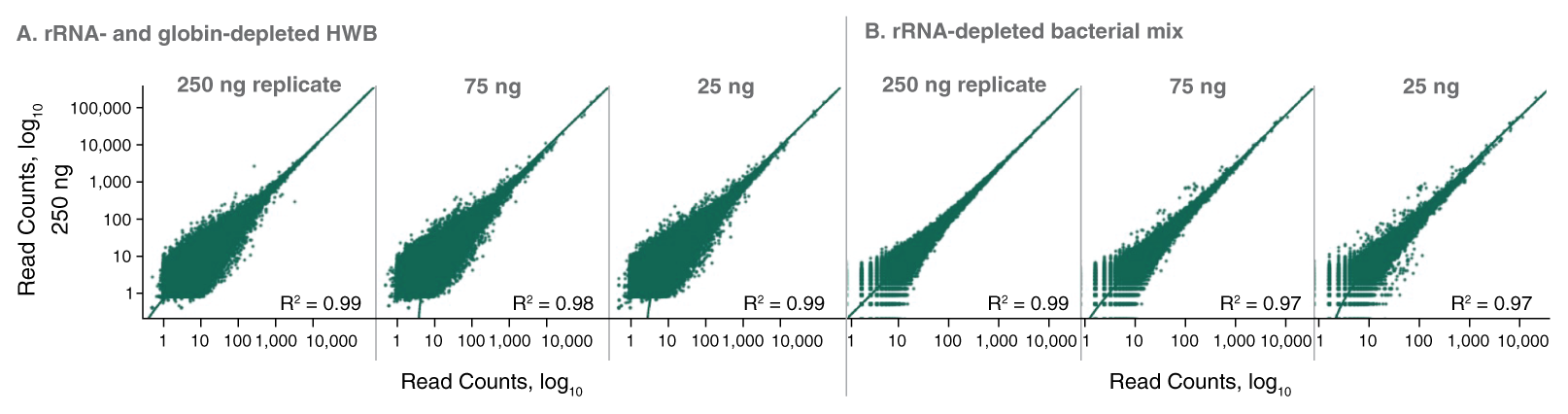 Next UltraExpress™ RNA Library Prep Kit |