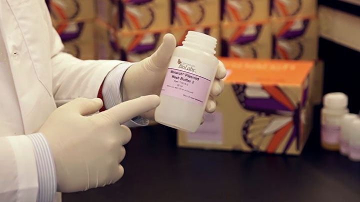 Monarch PCR & DNA 纯化试剂盒（5 μg）| 纯化试剂盒 |