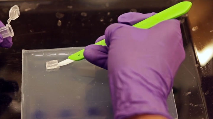 Monarch® DNA 胶回收试剂盒 |