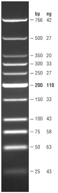 低分子量 DNA Ladder |