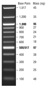 Quick-Load® 紫色 100 bp DNA Ladder |