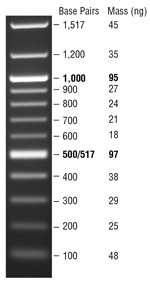 100 bp DNA Ladder |