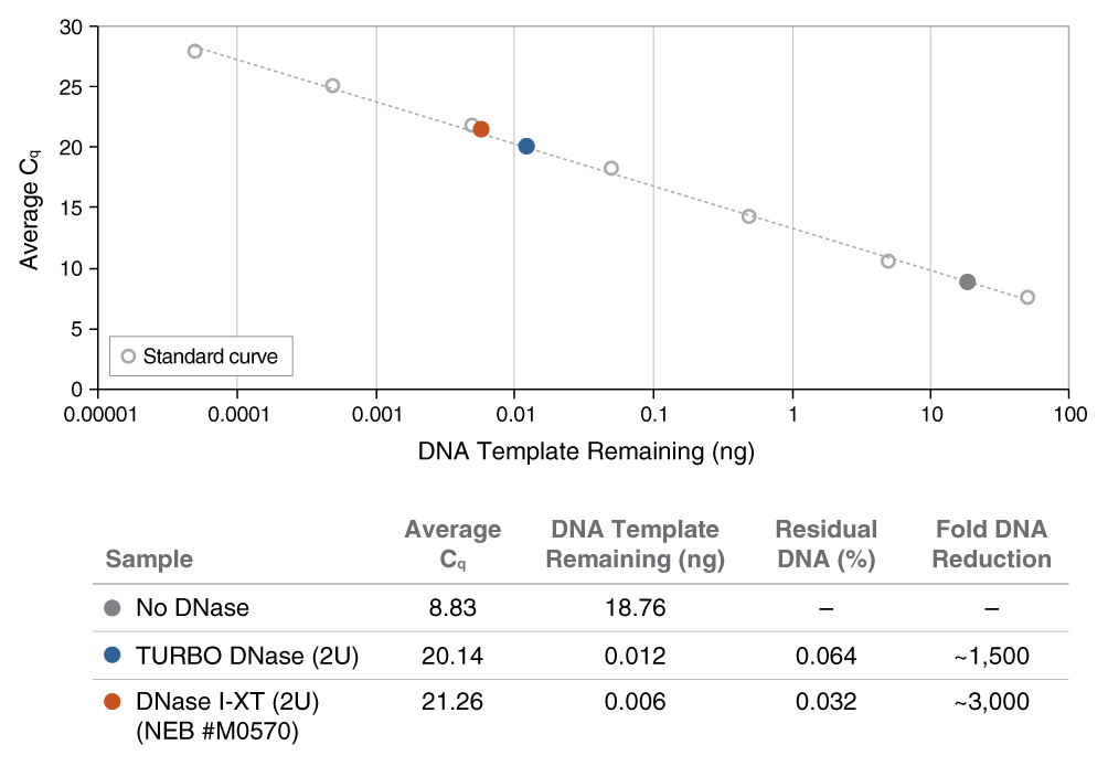 DNase I-XT |