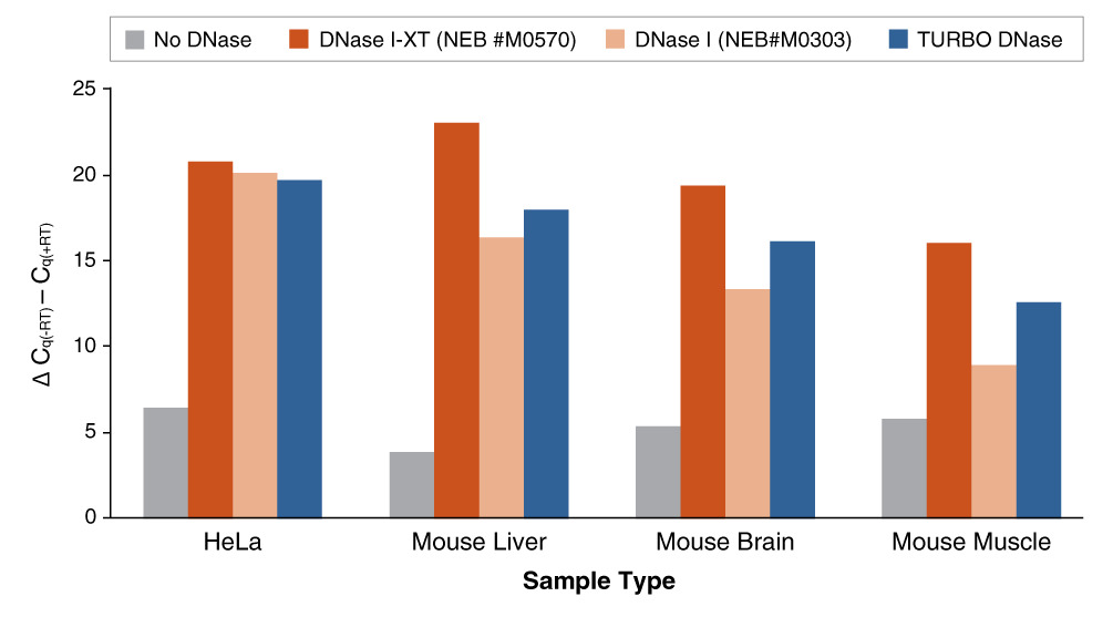 DNase I-XT |