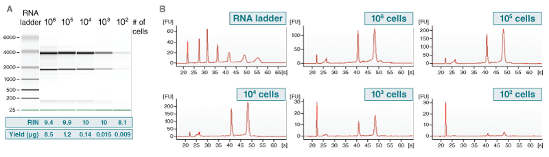 Monarch 总 RNA 小量提取试剂盒（ #T2010） |