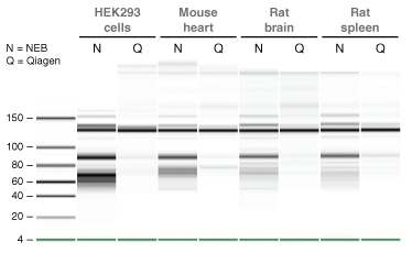 Monarch 总 RNA 小量提取试剂盒（ #T2010） |