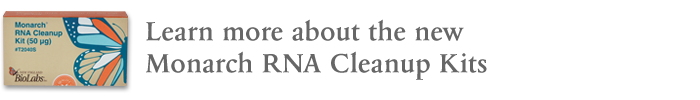 Monarch® RNA Cleanup Kit (500 µg) |