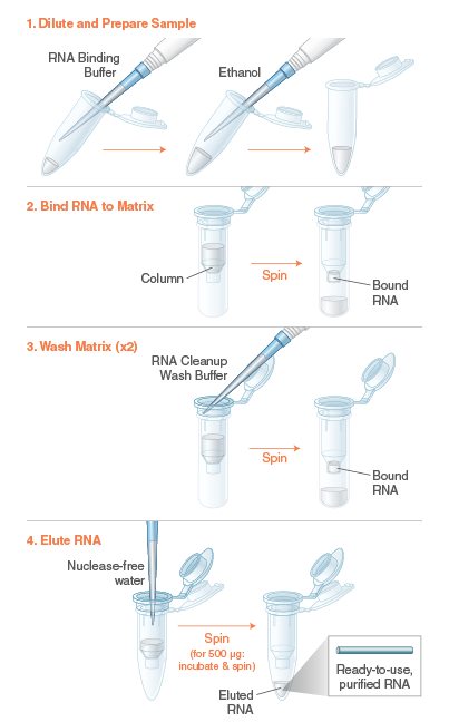 Monarch® RNA Cleanup Kit (500 µg) |