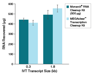 Monarch® RNA Cleanup Kit (500 µg) |