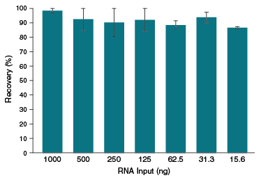 Monarch®  RNA Cleanup Kit (10 µg) |