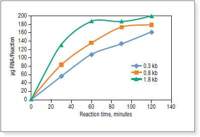 HiScribe® T7 High Yield RNA Synthesis Kit |