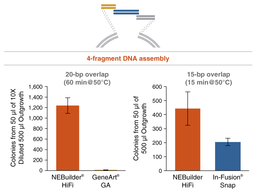 uilder® 高保真 DNA 组装克隆试剂盒 |