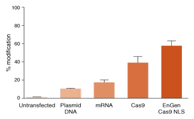 EnGen® Spy Cas9 NLS 核酸酶 |