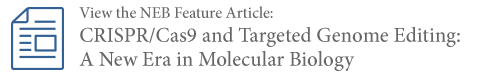 EnGen® sgRNA 合成试剂盒，S. pyogenes |