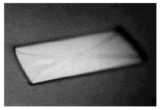 Hhal 甲基转移酶 |