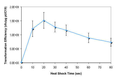 Express® Competent E. coli (High Efficiency) |