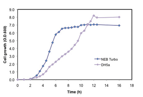 Turbo E. coli 感受态细胞（高效级） |