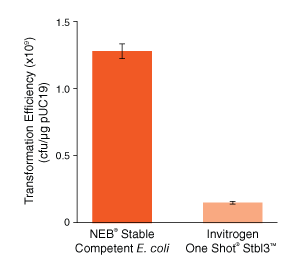 Stable E. coli 感受态细胞（高效级） |