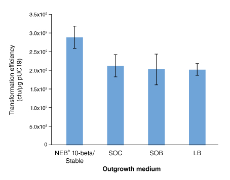 Stable E. coli 感受态细胞（高效级） |