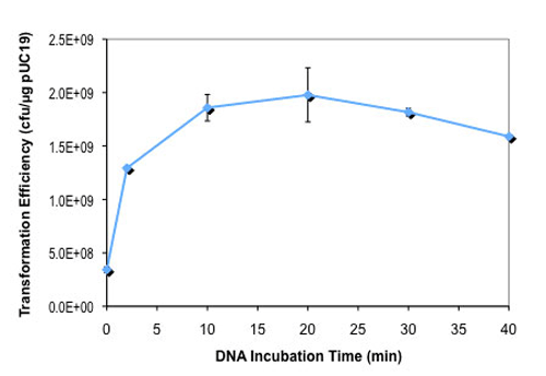 5-alpha F’ Iq E. coli 感受态细胞（高效级） |