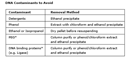 5-alpha E. coli 感受态细胞（亚克隆效级） |