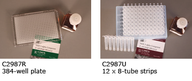 5-alpha E. coli 感受态细胞（高效级）| DH5α |