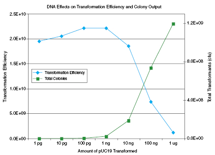 10-beta E. coli 电转感受态细胞 |