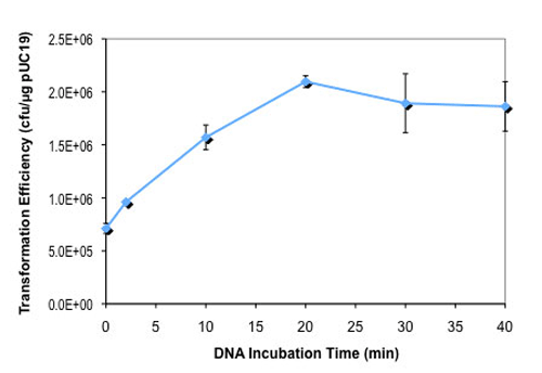 dam–/dcm– E. coli 感受态细胞 |