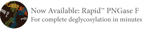 IdeZ Protease (IgG-specific) |