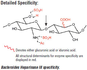 细菌肝素酶 III |